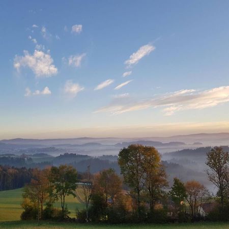 Ferienwohnung Im Muehlviertler Panorama Vierseithof Lembach im Mühlkreis Zewnętrze zdjęcie