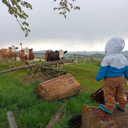 Ferienwohnung Im Muehlviertler Panorama Vierseithof Lembach im Mühlkreis Zewnętrze zdjęcie