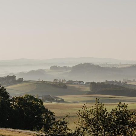 Ferienwohnung Im Muehlviertler Panorama Vierseithof Lembach im Mühlkreis Zewnętrze zdjęcie