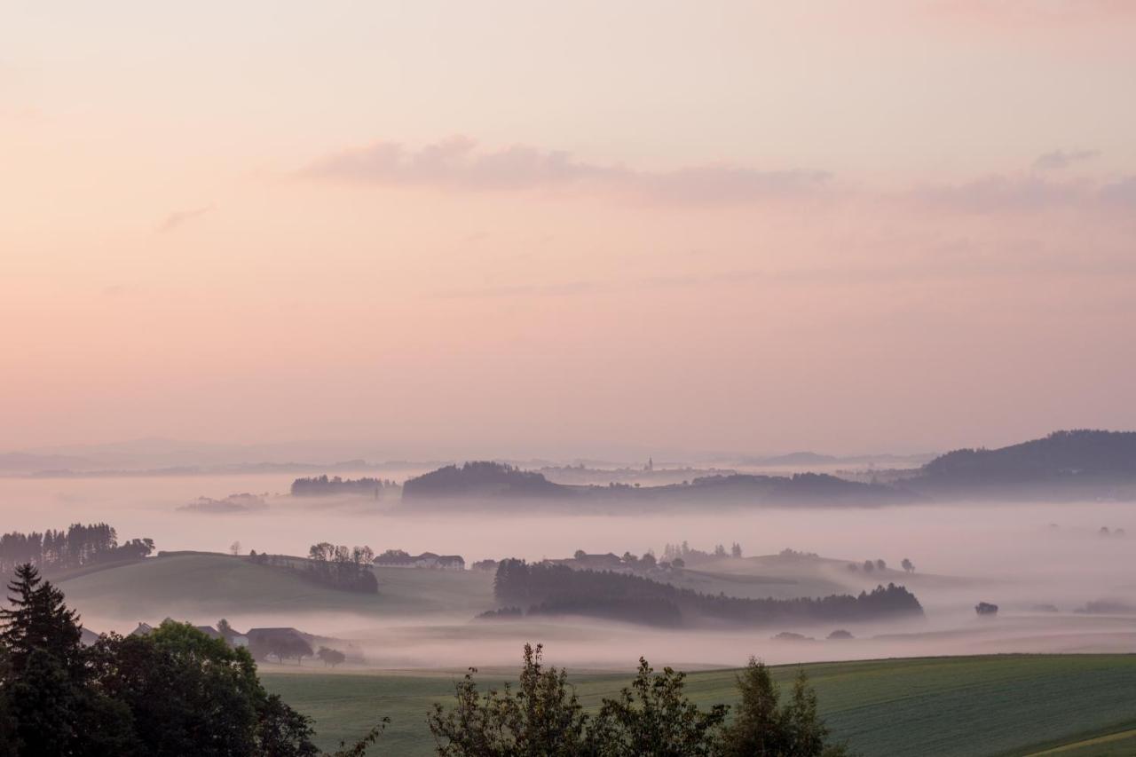 Ferienwohnung Im Muehlviertler Panorama Vierseithof Lembach im Mühlkreis Zewnętrze zdjęcie
