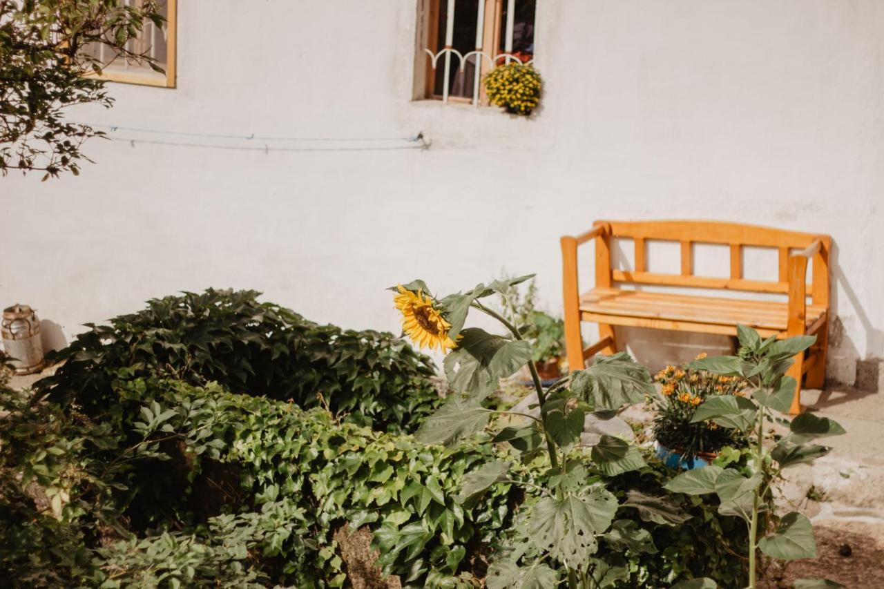 Ferienwohnung Im Muehlviertler Panorama Vierseithof Lembach im Mühlkreis Zewnętrze zdjęcie